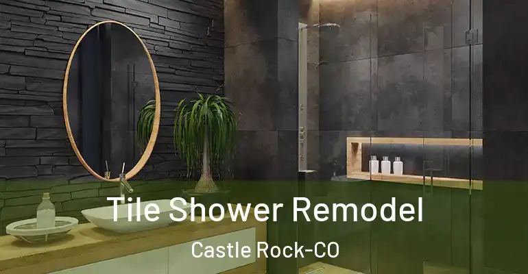 inner Bathroom imggen Tile Shower Remodel Castle Rock-CO
