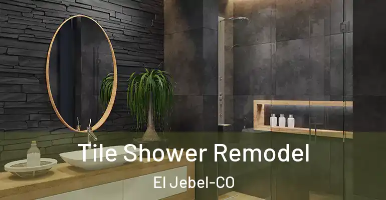inner Bathroom imggen Tile Shower Remodel El Jebel-CO