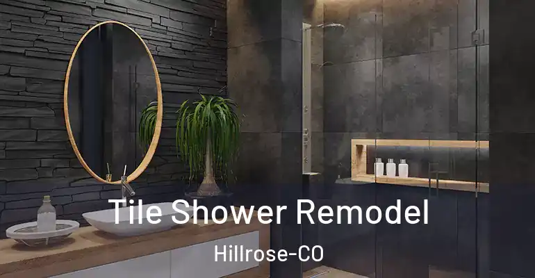 inner Bathroom imggen Tile Shower Remodel Hillrose-CO