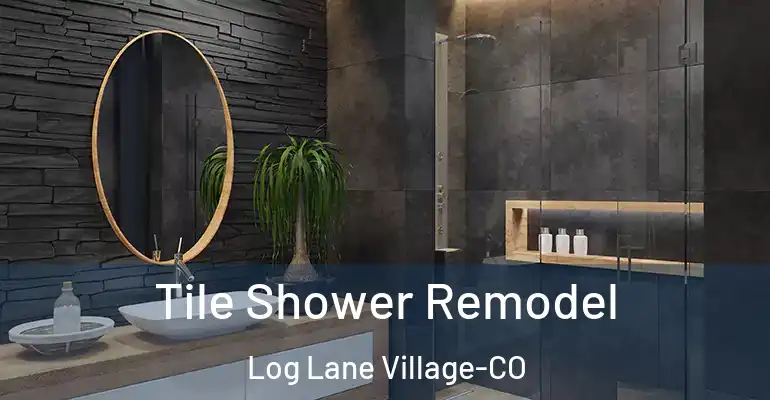 inner Bathroom imggen Tile Shower Remodel Log Lane Village-CO