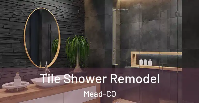 inner Bathroom imggen Tile Shower Remodel Mead-CO