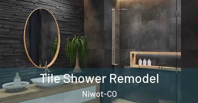 inner Bathroom imggen Tile Shower Remodel Niwot-CO