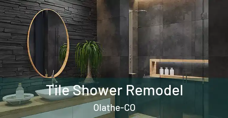 inner Bathroom imggen Tile Shower Remodel Olathe-CO