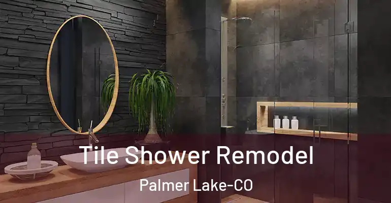 inner Bathroom imggen Tile Shower Remodel Palmer Lake-CO