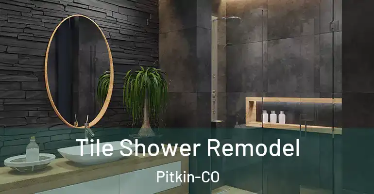 inner Bathroom imggen Tile Shower Remodel Pitkin-CO