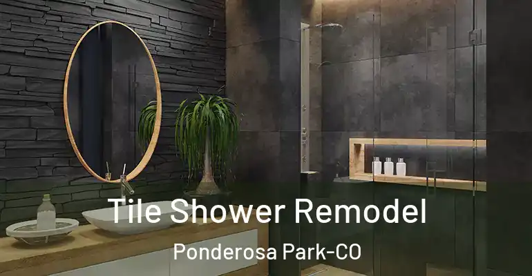 inner Bathroom imggen Tile Shower Remodel Ponderosa Park-CO