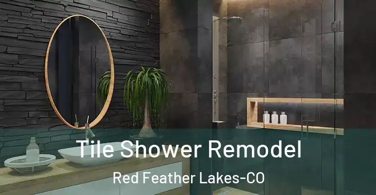 inner Bathroom imggen Tile Shower Remodel Red Feather Lakes-CO
