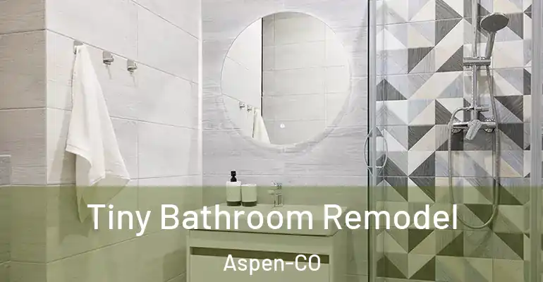 inner Bathroom imggen Tiny Bathroom Remodel Aspen-CO
