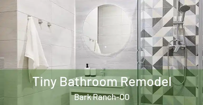 inner Bathroom imggen Tiny Bathroom Remodel Bark Ranch-CO