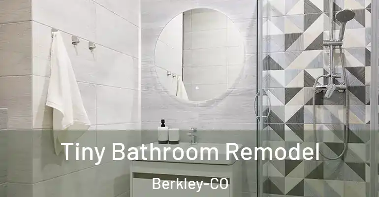 inner Bathroom imggen Tiny Bathroom Remodel Berkley-CO