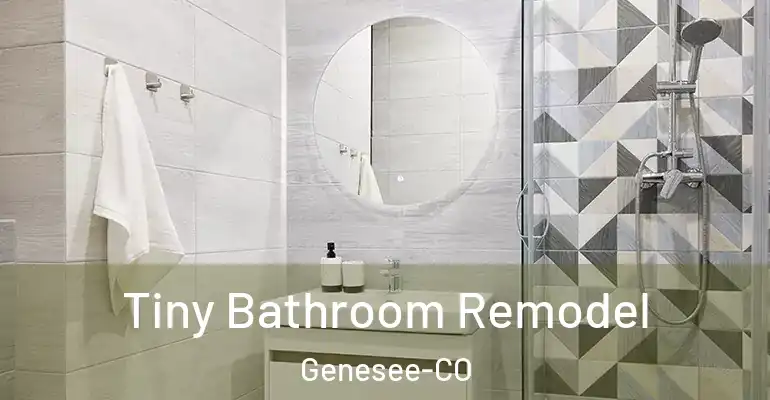 inner Bathroom imggen Tiny Bathroom Remodel Genesee-CO