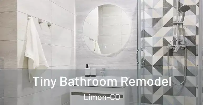 inner Bathroom imggen Tiny Bathroom Remodel Limon-CO