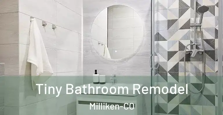 inner Bathroom imggen Tiny Bathroom Remodel Milliken-CO
