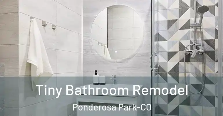 inner Bathroom imggen Tiny Bathroom Remodel Ponderosa Park-CO