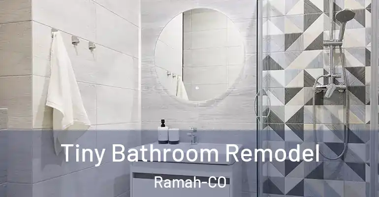 inner Bathroom imggen Tiny Bathroom Remodel Ramah-CO