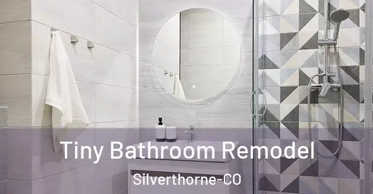 inner Bathroom imggen Tiny Bathroom Remodel Silverthorne-CO