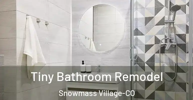 inner Bathroom imggen Tiny Bathroom Remodel Snowmass Village-CO