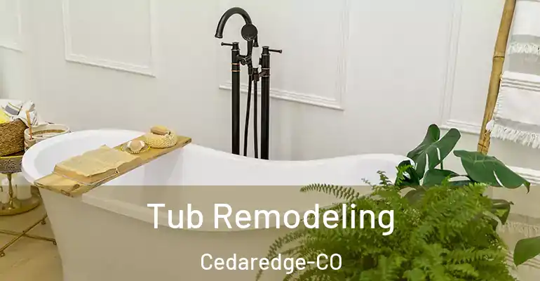 inner Bathroom imggen Tub Remodeling Cedaredge-CO