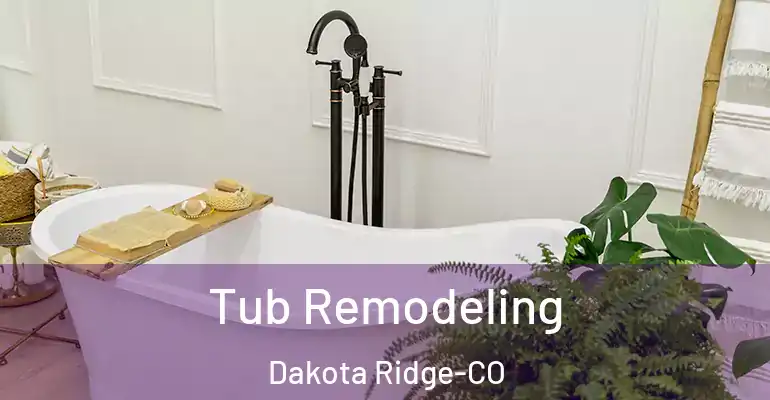 inner Bathroom imggen Tub Remodeling Dakota Ridge-CO