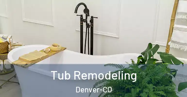 inner Bathroom imggen Tub Remodeling Denver-CO