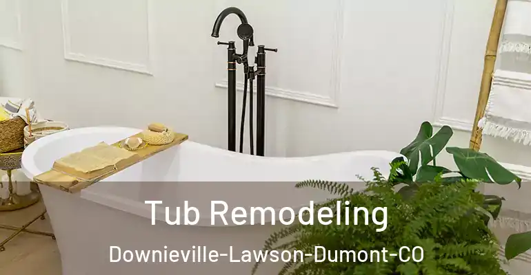 inner Bathroom imggen Tub Remodeling Downieville-Lawson-Dumont-CO