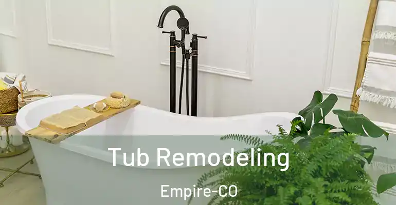 inner Bathroom imggen Tub Remodeling Empire-CO