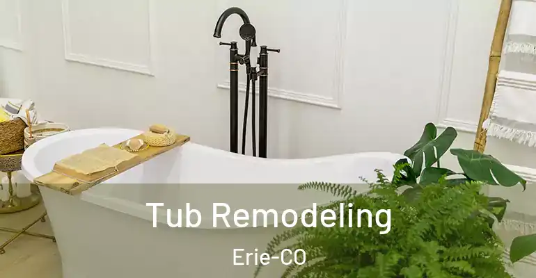 inner Bathroom imggen Tub Remodeling Erie-CO