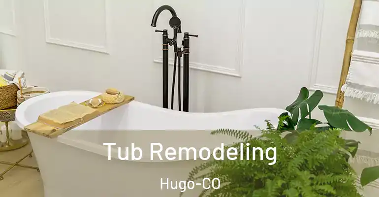 inner Bathroom imggen Tub Remodeling Hugo-CO
