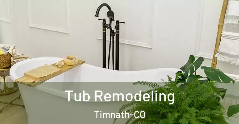 inner Bathroom imggen Tub Remodeling Timnath-CO