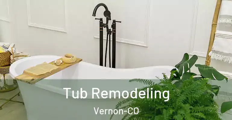 inner Bathroom imggen Tub Remodeling Vernon-CO
