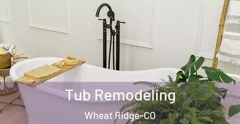 inner Bathroom imggen Tub Remodeling Wheat Ridge-CO