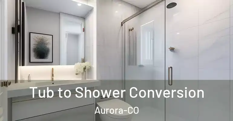inner Bathroom imggen Tub to Shower Conversion Aurora-CO