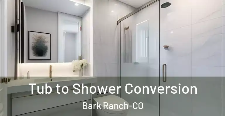 inner Bathroom imggen Tub to Shower Conversion Bark Ranch-CO