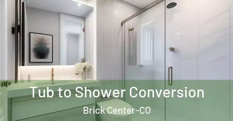 inner Bathroom imggen Tub to Shower Conversion Brick Center-CO