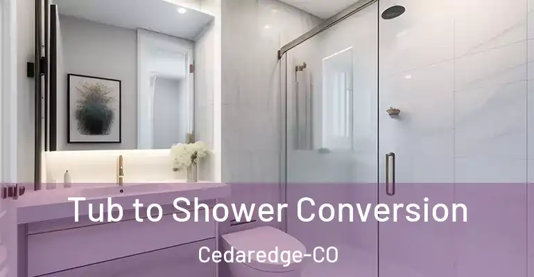 inner Bathroom imggen Tub to Shower Conversion Cedaredge-CO