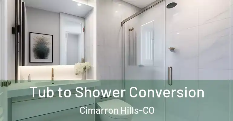 inner Bathroom imggen Tub to Shower Conversion Cimarron Hills-CO