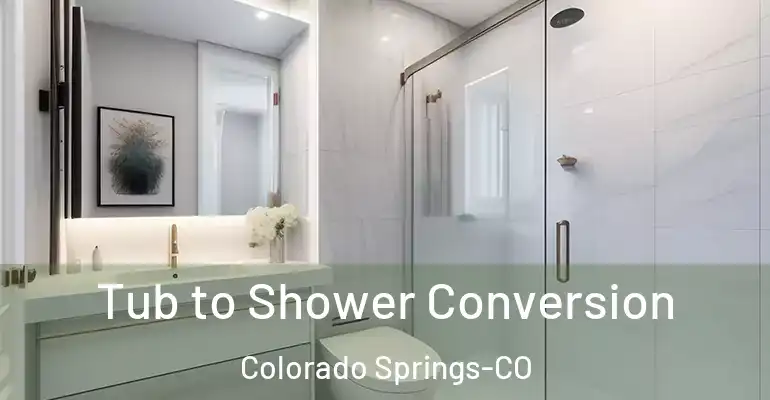 inner Bathroom imggen Tub to Shower Conversion Colorado Springs-CO