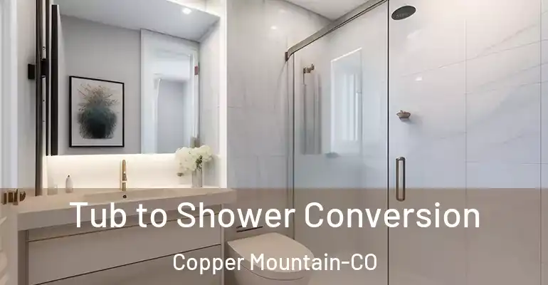 inner Bathroom imggen Tub to Shower Conversion Copper Mountain-CO