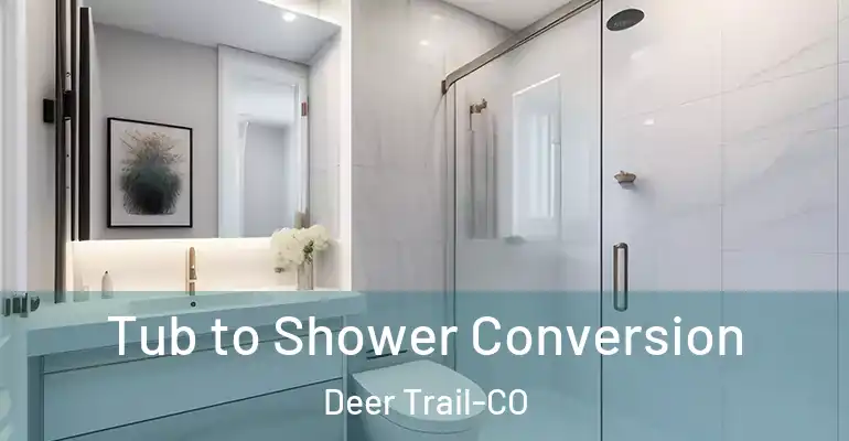 inner Bathroom imggen Tub to Shower Conversion Deer Trail-CO
