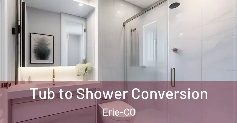 inner Bathroom imggen Tub to Shower Conversion Erie-CO