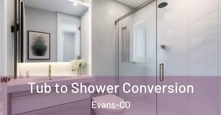 inner Bathroom imggen Tub to Shower Conversion Evans-CO