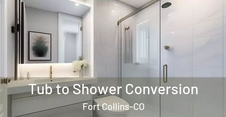 inner Bathroom imggen Tub to Shower Conversion Fort Collins-CO