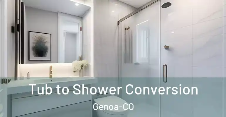 inner Bathroom imggen Tub to Shower Conversion Genoa-CO