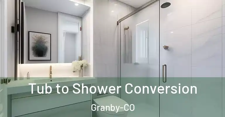 inner Bathroom imggen Tub to Shower Conversion Granby-CO
