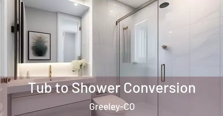 inner Bathroom imggen Tub to Shower Conversion Greeley-CO