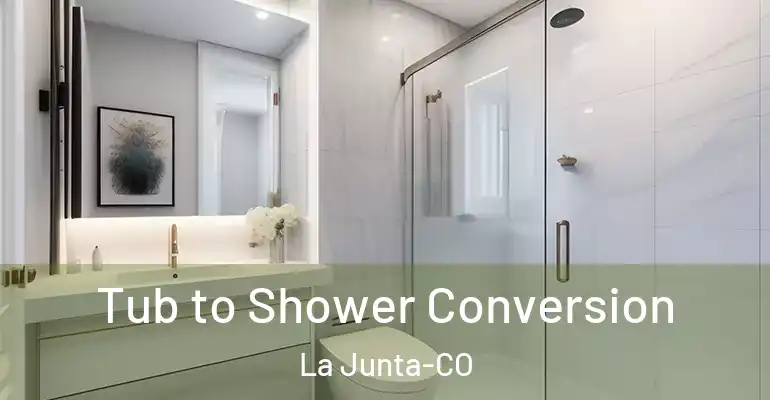 inner Bathroom imggen Tub to Shower Conversion La Junta-CO