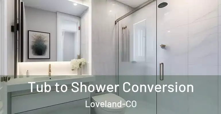 inner Bathroom imggen Tub to Shower Conversion Loveland-CO