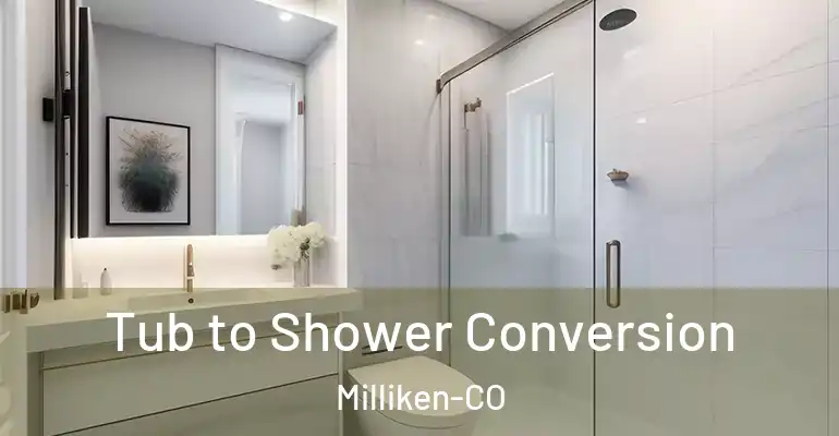 inner Bathroom imggen Tub to Shower Conversion Milliken-CO