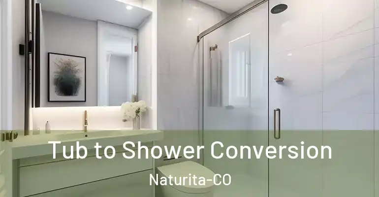 inner Bathroom imggen Tub to Shower Conversion Naturita-CO