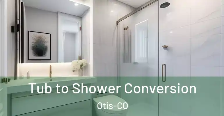 inner Bathroom imggen Tub to Shower Conversion Otis-CO